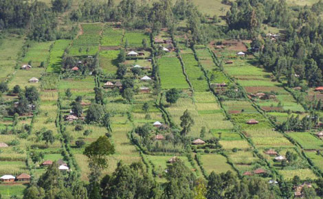 Cap on land sizes looming