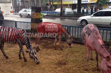 Let's end cruelty against animal