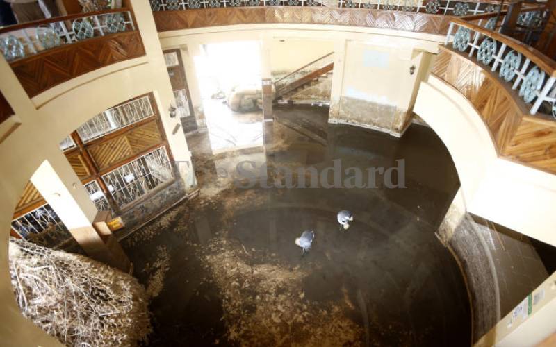 How record-high flood hit Soi Safari Lodge [2020]