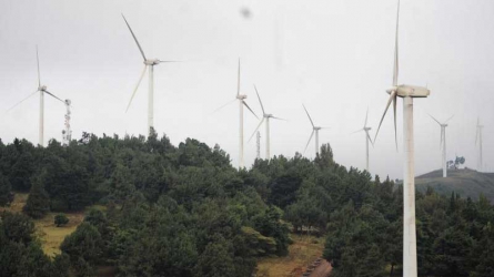 Malindi Court suspends Sh21b wind energy project