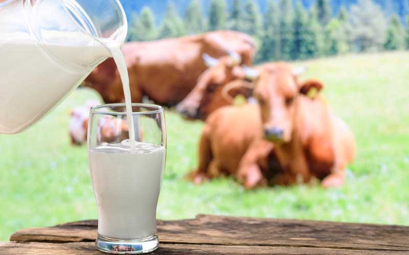 Milk output drops over market fears