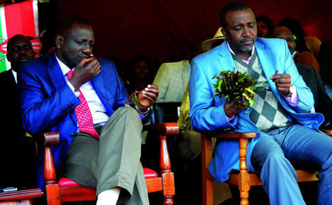 Farmers urged to grow other crops due to UK's miraa ban