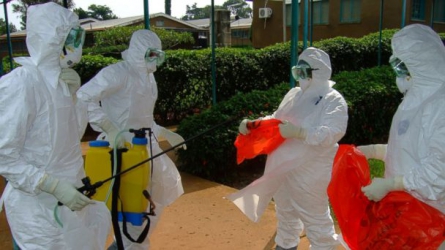 Ebola crisis in Guinea 'has set back fight on malaria'