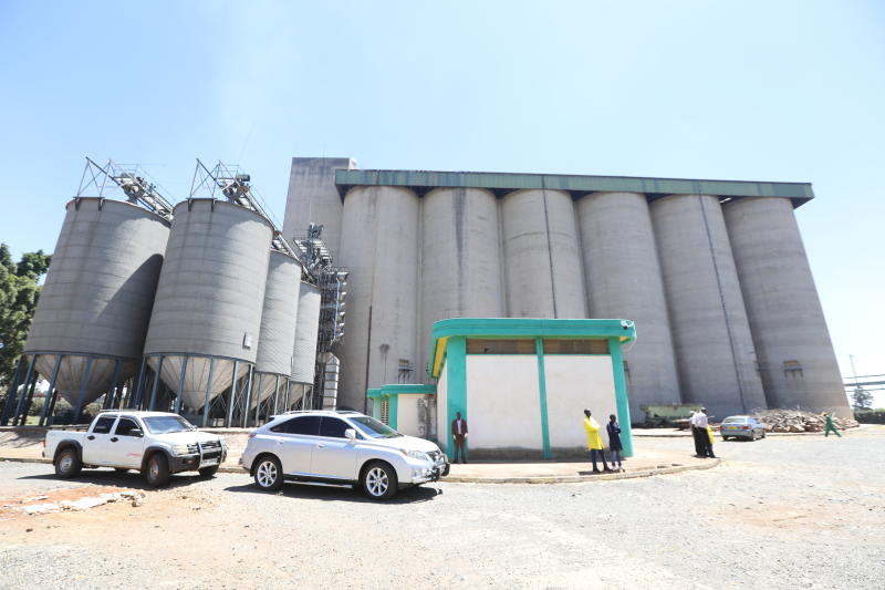 NCPB stores empty as farmers decry low maize prices