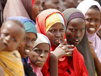 Operations in Dadaab refugee camp halted 