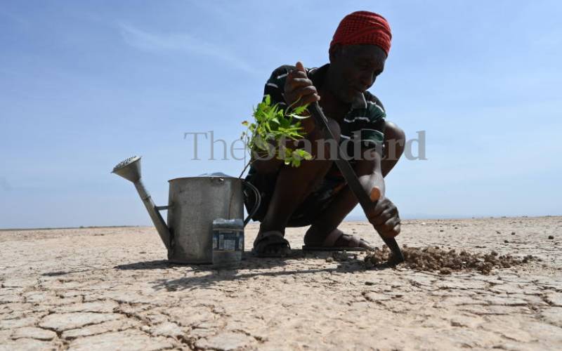 Ottichilo: Kenya, the counties are walking the talk on climate action