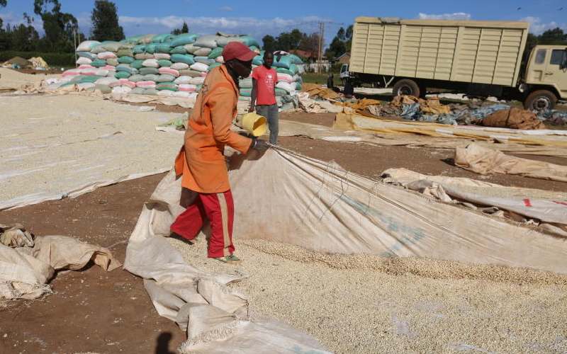 Please listen to cries of North Rift maize farmers