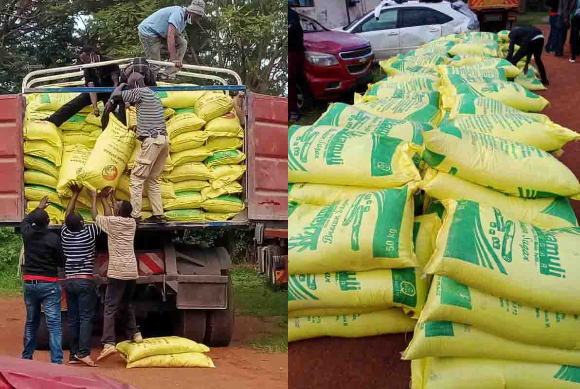 Police arrest suspects in Bungoma ferrying 489 bags of sugar
