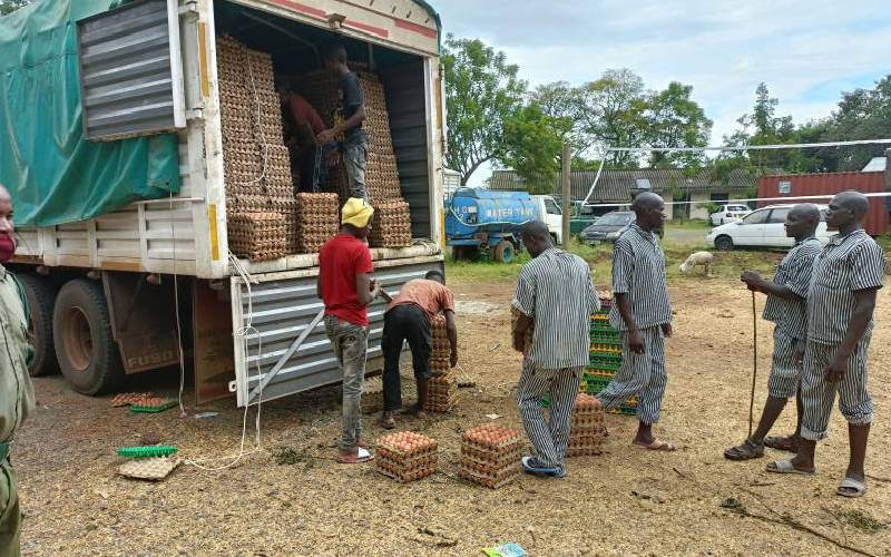 Police confiscate eggs worth Sh2.7m from Uganda