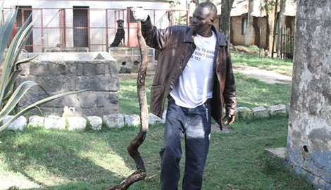 Ongata Rongai residents in shock as a man is caught with an eight-feet python