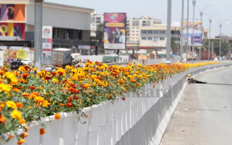 The idea to beautify the highway followed...