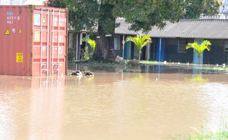 Country to experience more rain till December, says weatherman