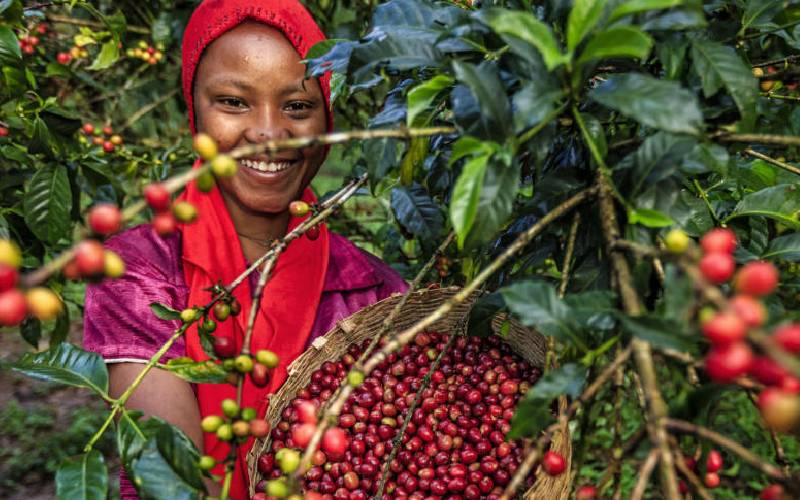 Regional coffee agencies want tariffs removed to boost trade