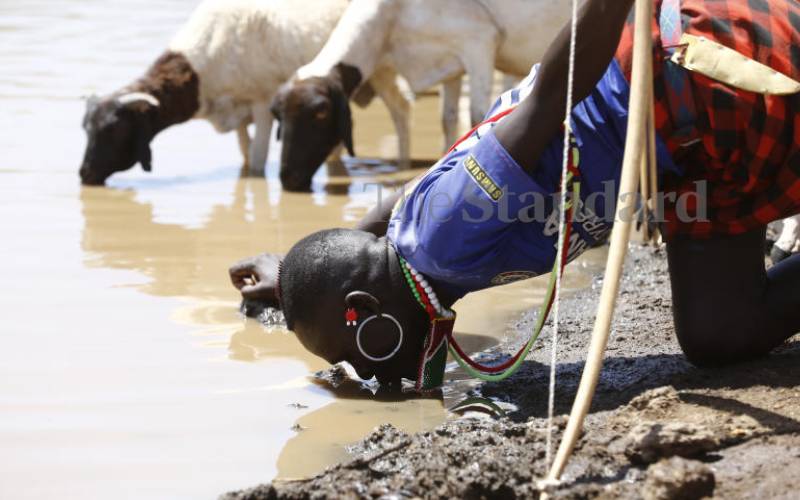 Satellite images aiding pastoralists to identify pasture