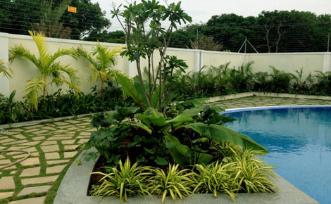 Simple landscaping ideas for a serene home