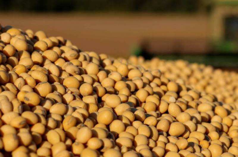 Soybeans, corn hit 1-week low as US harvest advances - FarmKenya Initiative