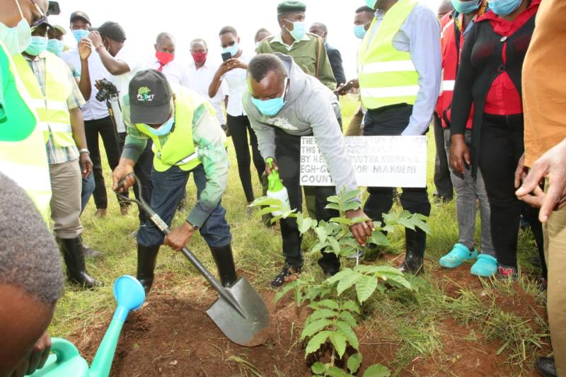 Step up tree planting to restore natural beauty of urban areas 