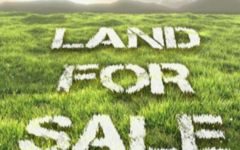 Being land brokers nets couple Sh1 million