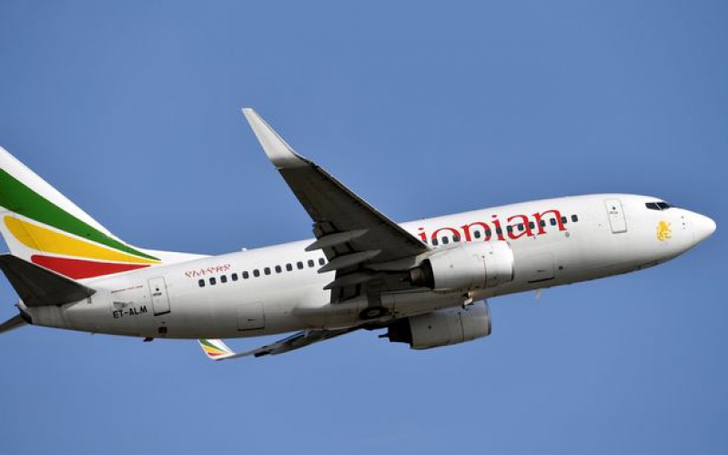British newspaper reports Ethiopian jet crash caused by bird-strike