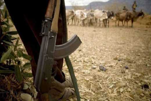 Cattle rustlers kill three police officers in Samburu