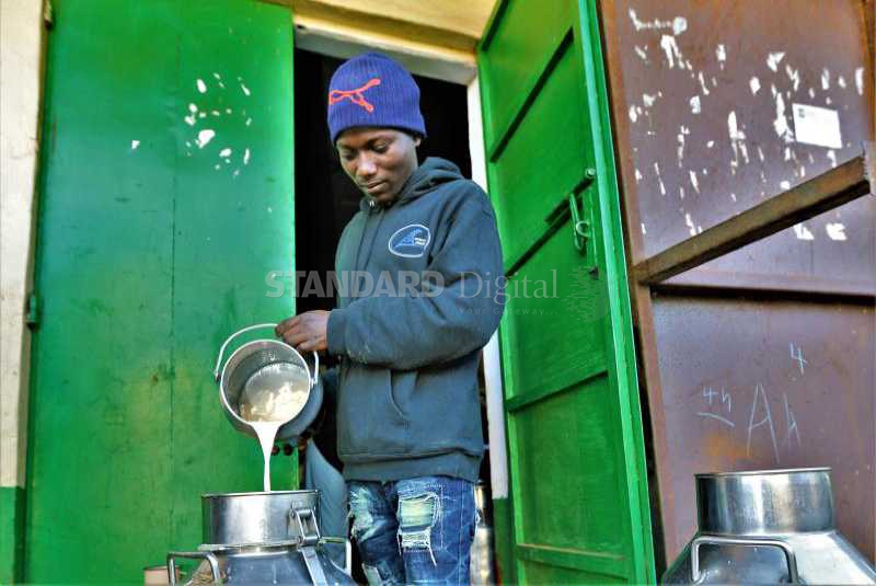 Dairy farmers' long wait to process own milk