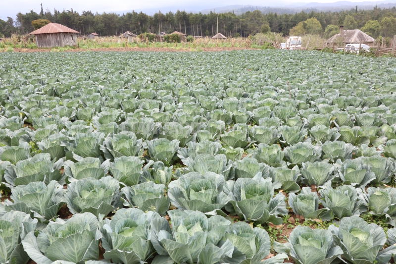 Farmers to reap from Sh2.5m cold room