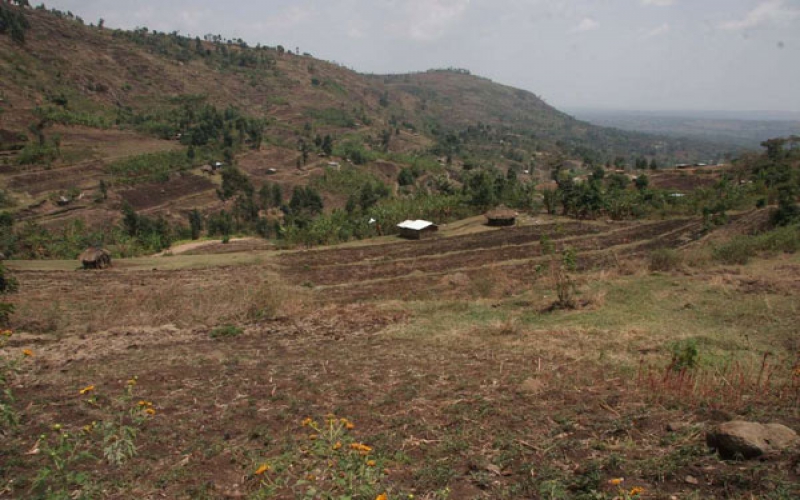 Genuine Maungu-Buguta settlement scheme squatters displaced, claims an MCA