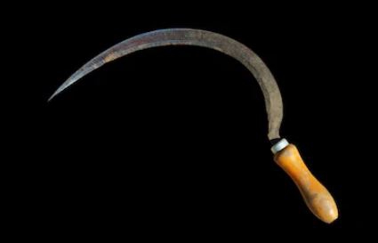 Man beheads wife with a sickle 