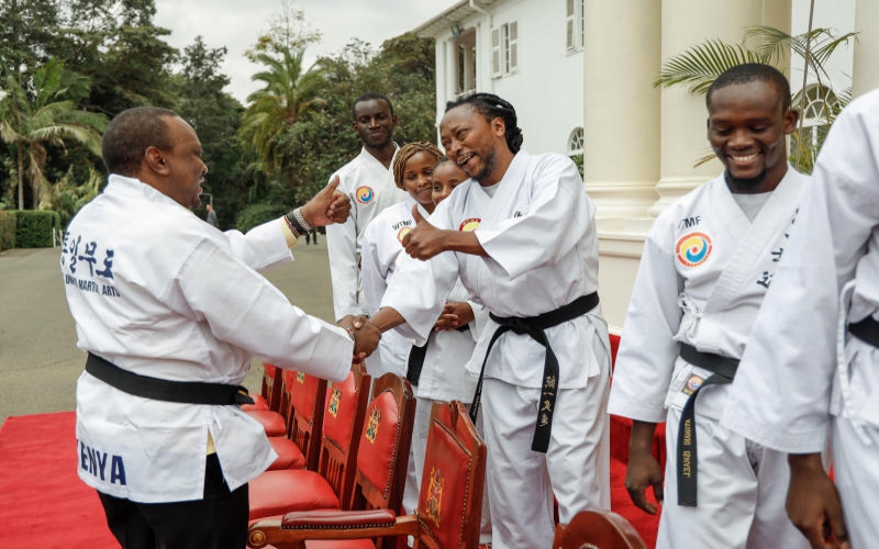 MARTIAL ARTS : Tong-Il Moo-Do Federation in Soya awards list