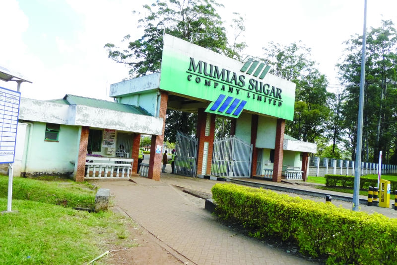 Mumias to retrench 900 workers as CEO exits