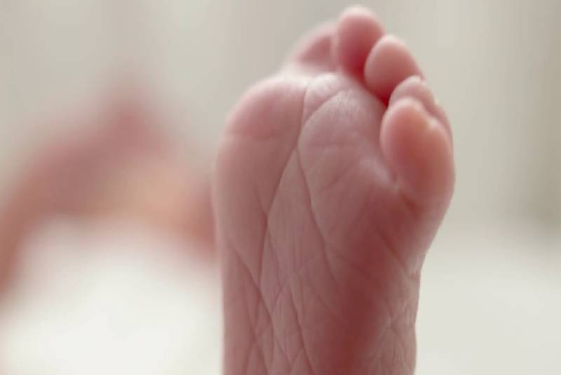 Newborn baby's body found in women's toilet bin