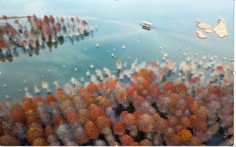 Pictures: China in four seasons