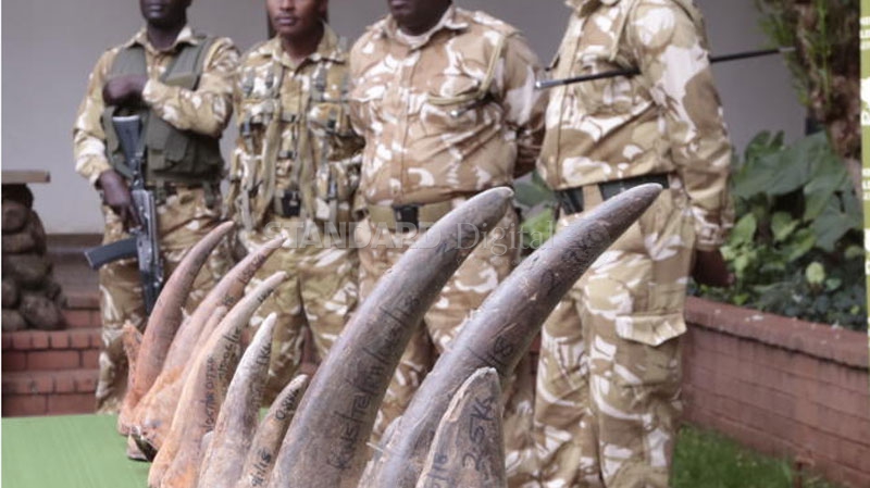 Questions as KWS displays rhino horns