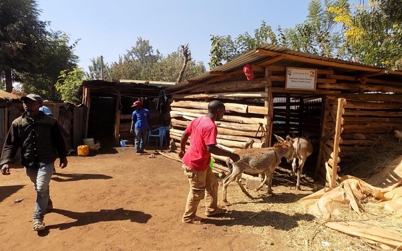 Shelters keep off donkey thieves