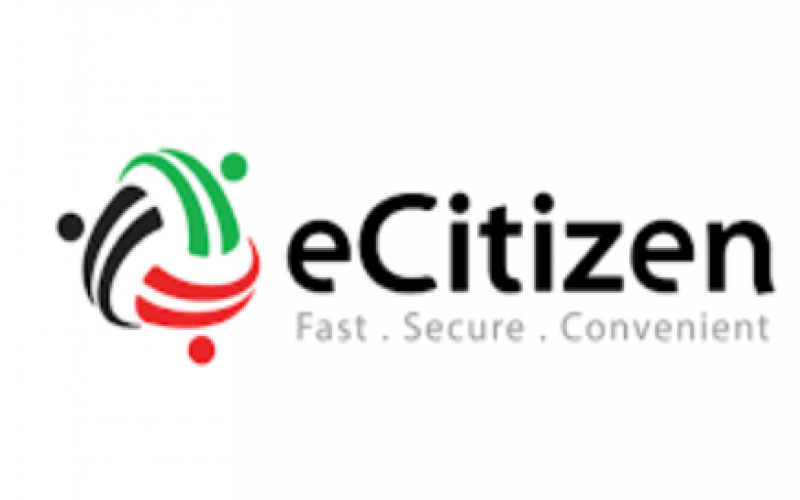 System outage locks users out of eCitizen
