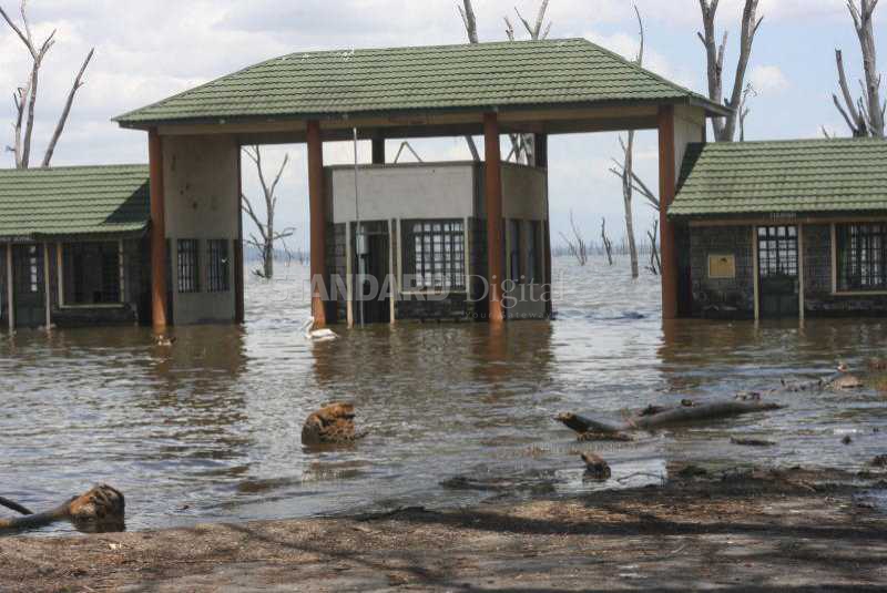 Alarm raised as Water levels in Rift Valley lakes rise, submerging