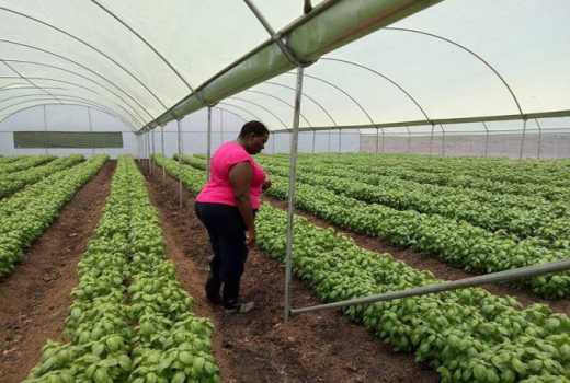 Why more youth should take up agriculture courses