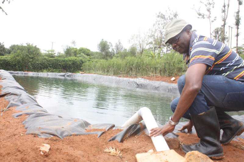 Why we must endeavor to harvest rain water