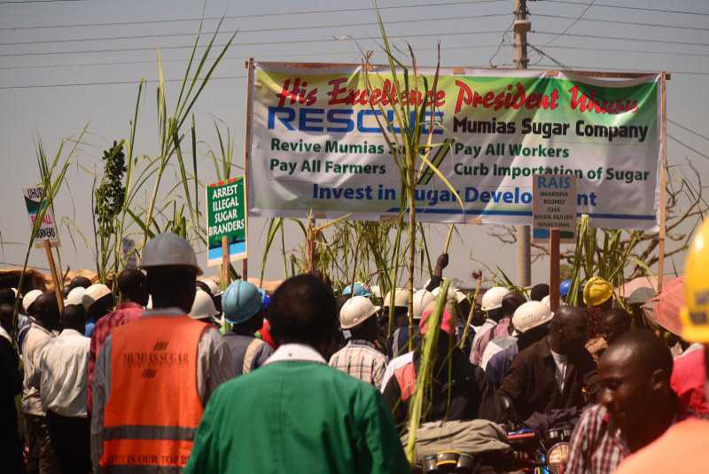 Workers shut down Mumias Sugar Company in pay protest - FarmKenya Initiative