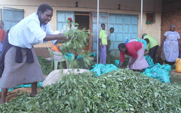 Tough decisions for fresh vegetable traders as coronavirus hits the Country