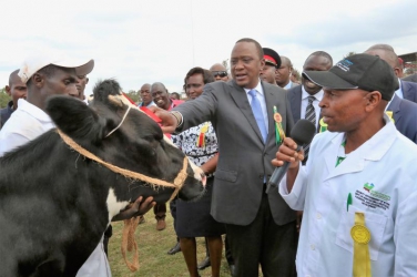 Uhuru to launch his re-election campaign in Central Kenya