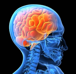 'Evil' twin complete with bone, hair and teeth found inside woman's brain
