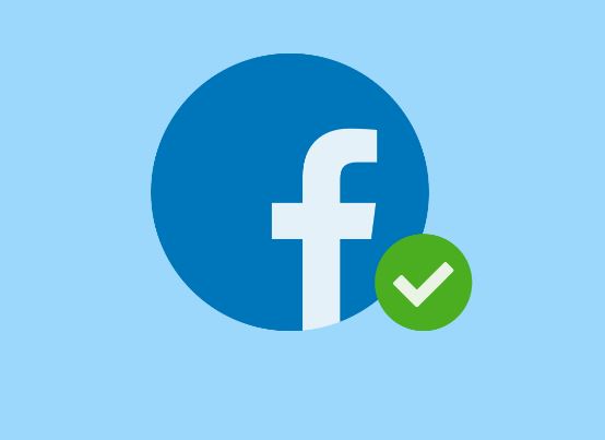 US states plan to sue Facebook next week: sources