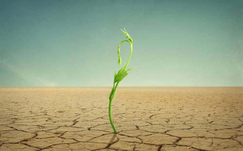 Why COP 26 is big deal and what it means for Kenya