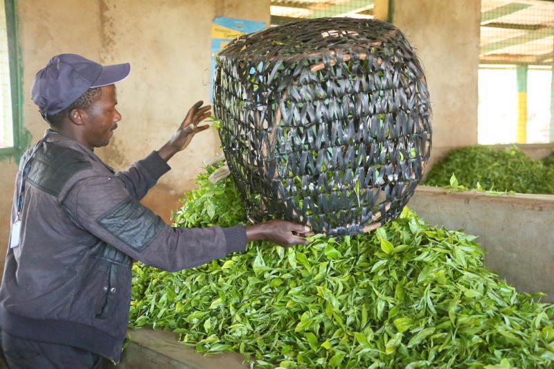 Zero rate VAT on tea, packaging machinery