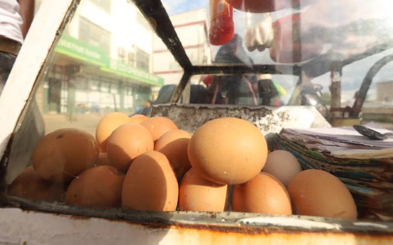 7 reasons your egg production is low