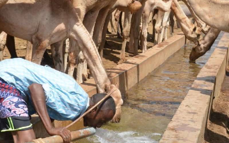  Thousands at risk of starving as drought bites in arid counties