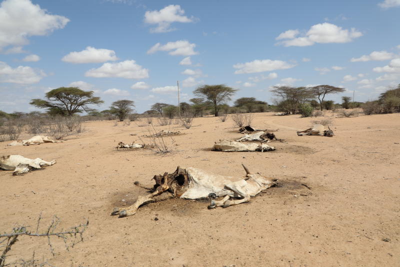 A month on, famine still ravaging Garissa