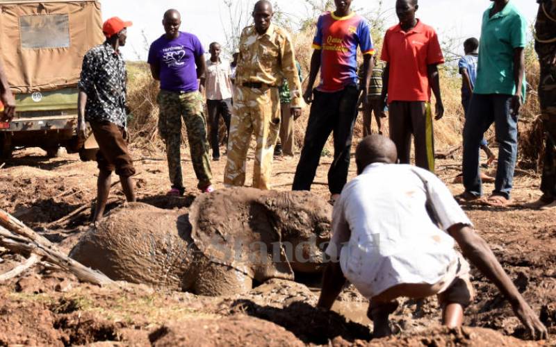 They made their way out of the mud, urged on...