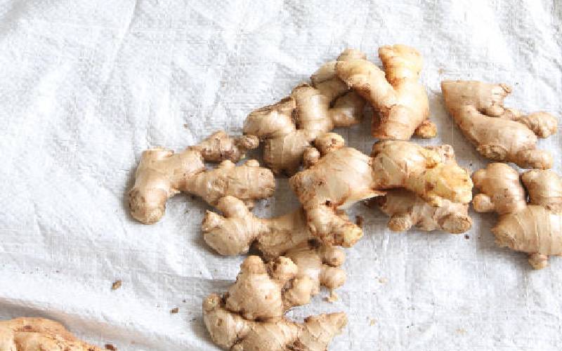 Art of growing healthy ginger